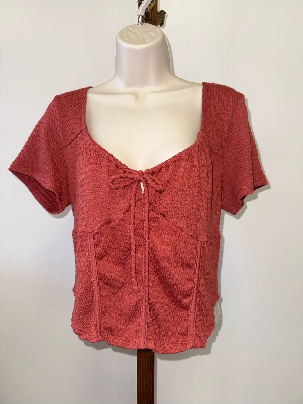 Wild Moss (XL) Burnt Orange Scrunched Tied V-Neck Crop Top